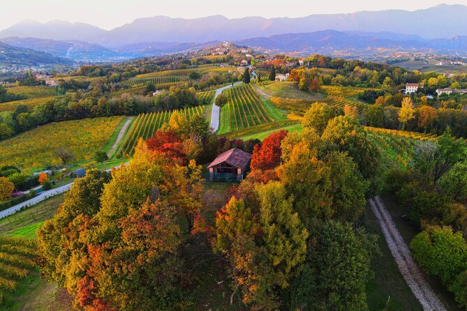 Exclusive Tour of the Vineyards With Visit to the Cellar! - Verified Customer Feedback