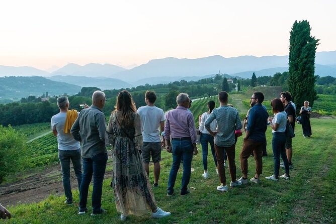 Exclusive Tour of the Vineyards With Visit to the Cellar! - Exclusive Vineyard Access
