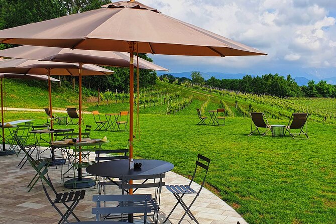 Exclusive Tour of the Vineyards With Visit to the Cellar! - Tailored for Wine Enthusiasts