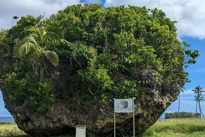Exclusive Tour of Tongatapu - Who Will Love This Tour?