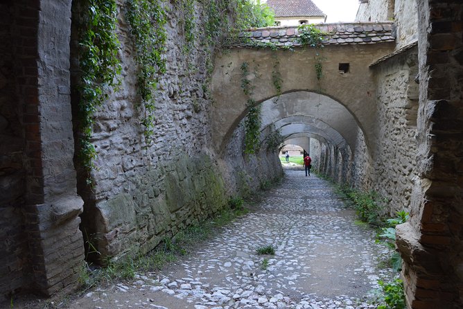 Exclusive Tour: Sighisoara, Medias and Biertan Tour From Sibiu - Customer Feedback and Experiences