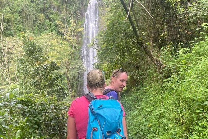 Exclusive Tour to Materuni and Kikuletwa Hotspring - Inclusions