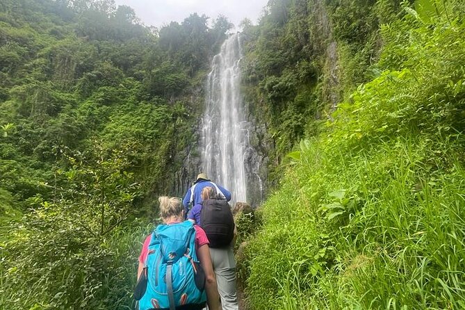 Exclusive Tour to Materuni and Kikuletwa Hotspring - Meeting and Pickup