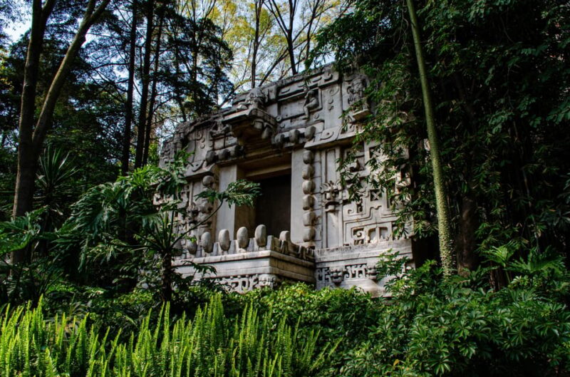 EXCLUSIVE TOUR to the Museum of Anthropology - Small Groups - Additional Activities