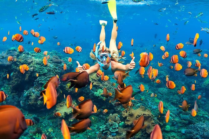 Exclusive: Tulum Ruins, Reef Snorkeling, Cenote and Caves - Participant Requirements