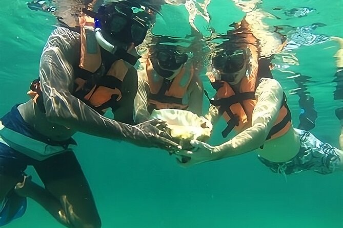 Exclusive: Tulum Ruins, Reef Snorkeling, Cenote and Caves - Cenote Xtun Swimming