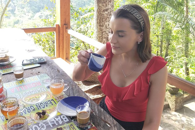 Exclusive Ubud Day Tour - Sacred Monkey Forest Sanctuary
