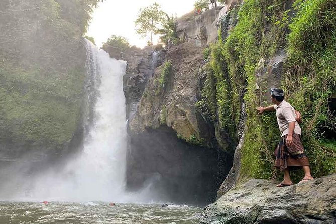 Exclusive Ubud Sightseeing Tour - Instagramable Spot and More - Accessibility and Participation