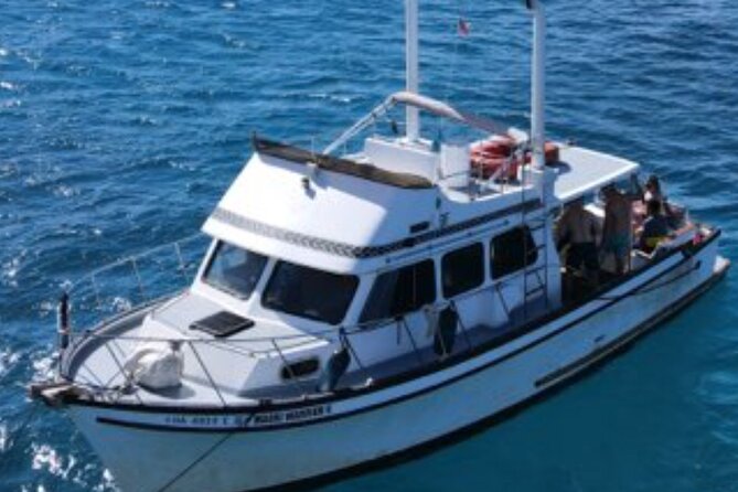 Exclusive Waikiki Boat Tour - Customer Praise and Recommendations
