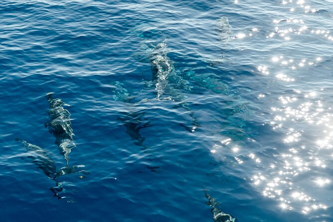 Exclusive Waikiki Yacht Snorkel With Lunch and Bevs - Weather and Refunds