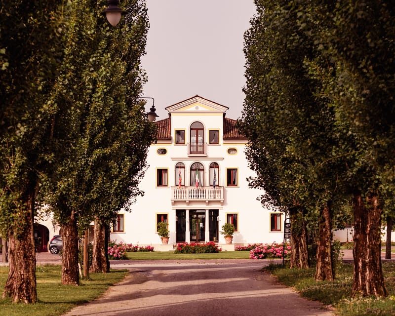 Exclusive Wine Experience: Venetian Best Vineyards - Overview of the Exclusive Wine Experience