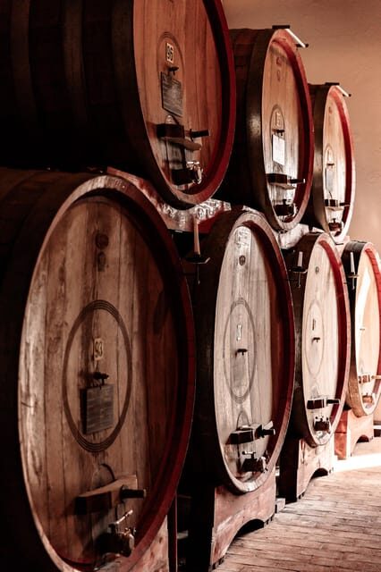 Exclusive Wine Experience: Venetian Best Vineyards - Understanding the Winemaking Process