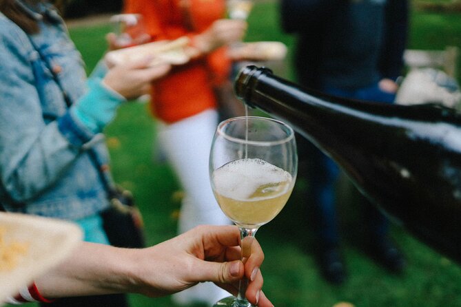 Exclusive Wine Tasting in Valpolicella, Verona - Winery Experience