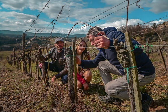 Exclusive Wine Tour and Tasting Experience in Siena - Quick Points
