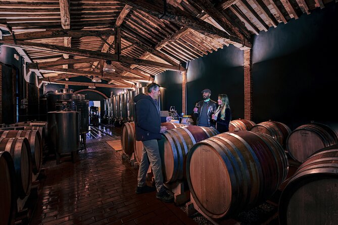 Exclusive Wine Tour and Tasting Experience in Siena - Exclusive Winery Visits