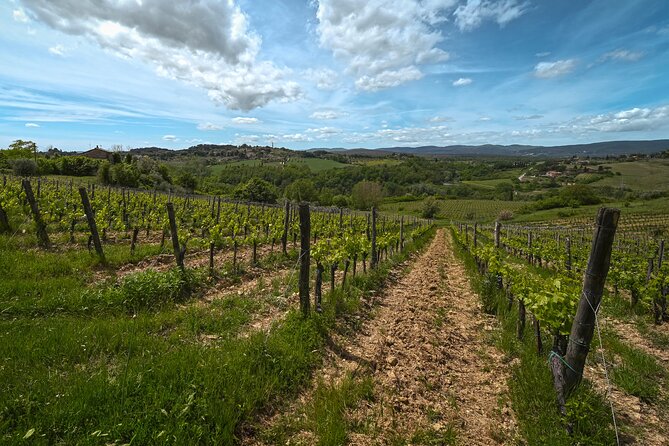 Exclusive Wine Tour and Tasting Experience in Siena - Inclusions and Exclusions
