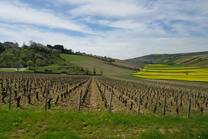 Exclusive Wine Tour in Sancerre & Pouilly-Fumé From Paris - Key Points