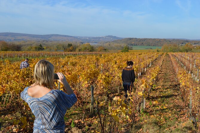 Exclusive Wine Tour in Sancerre & Pouilly-Fumé From Paris - Highlights of the Itinerary