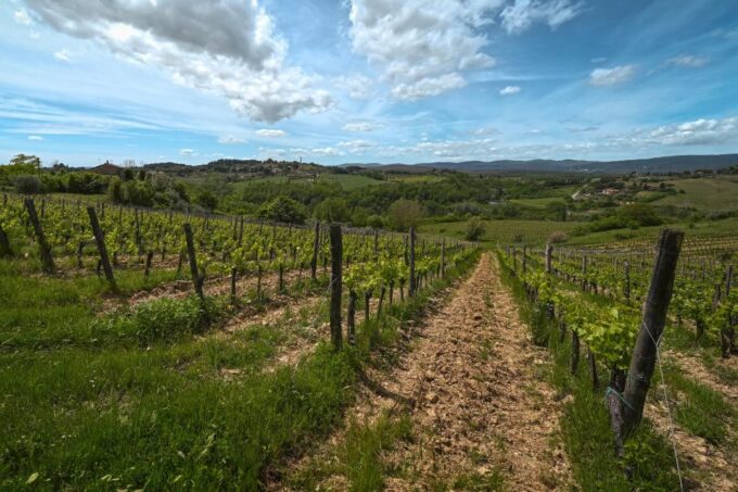 Exclusive Winery Tour and Wine Tasting in Siena - Frequently Asked Questions