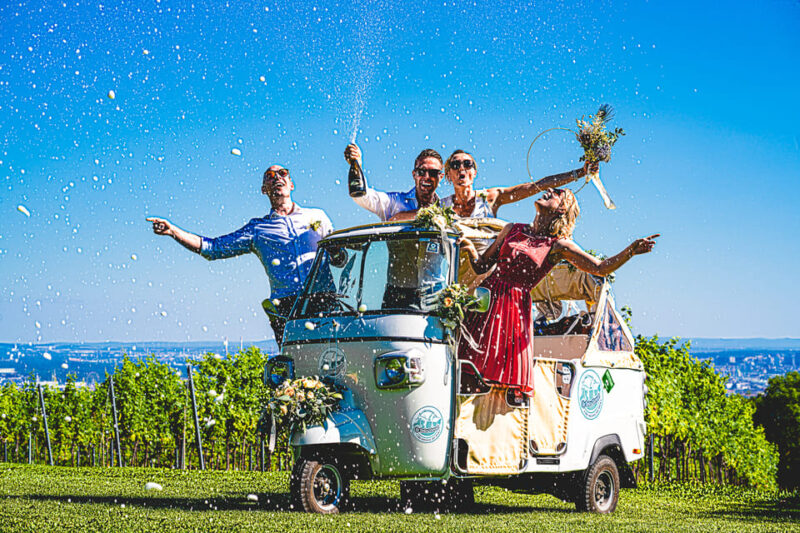 Exclusive Wineyard Picknick Overlooking Vienna - Picnic Details