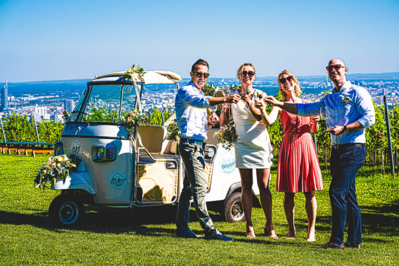 Exclusive Wineyard Picknick Overlooking Vienna - Booking Information