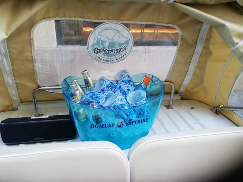 Exclusive Wineyard Picknick Overlooking Vienna - Transportation and Safety