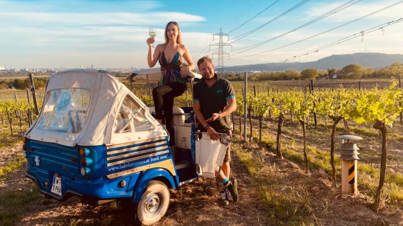 Exclusive Wineyard Picknick Overlooking Vienna - Customer Feedback