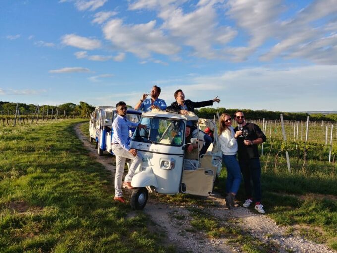 Exclusive Wineyard Picknick Overlooking Vienna - Additional Information