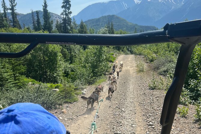 Exclusive Yukon Full-Day Tour With Dog Mushing Adventure - Highlights of the Full-Day Tour