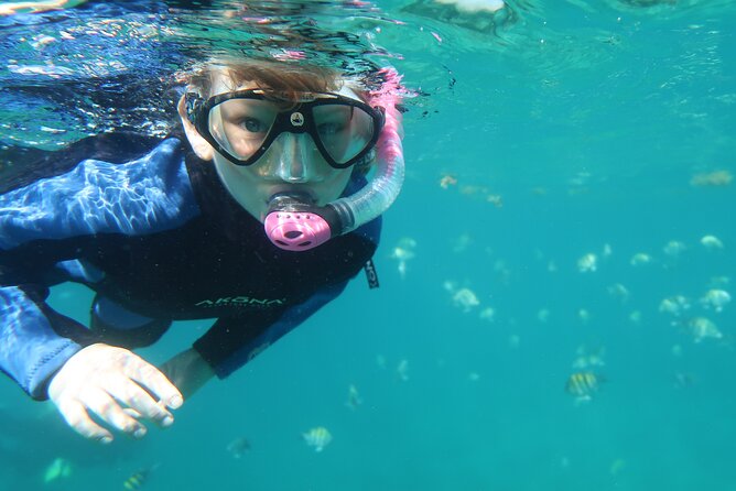 Exclusively Private Snorkel Adventures Training & Tours Ultimate - Frequently Asked Questions