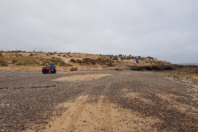 Excursion: 1h/Quad+1h/Camels (Free Transfer) - Payment Options