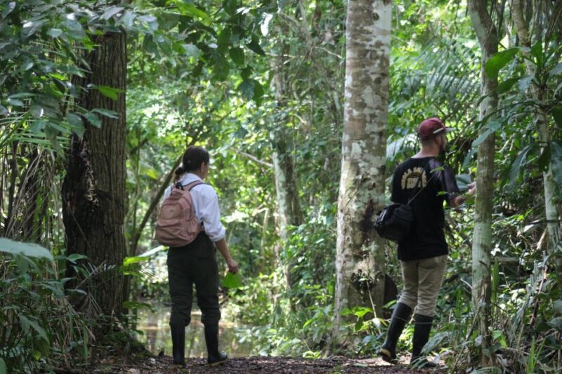Excursion 3 Days/2 Nights in the Jungle - Pricing and Discounts