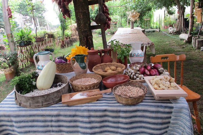 Excursion and Experiential Day (Bread Day) - Additional Information