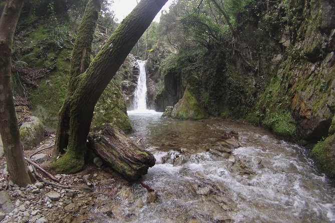 Excursion and Hiking in Calabria, Italy - Memorable Excursion Experience