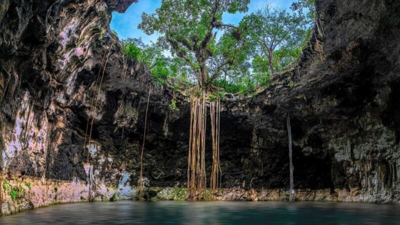 Excursion Cenote Cascabel, Chacsikin, Xooch' & Pool Cocom - Inclusions and Amenities