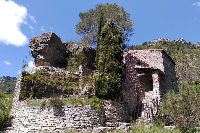 Excursion Circus of Navacelles From Montpellier - Traveler Feedback