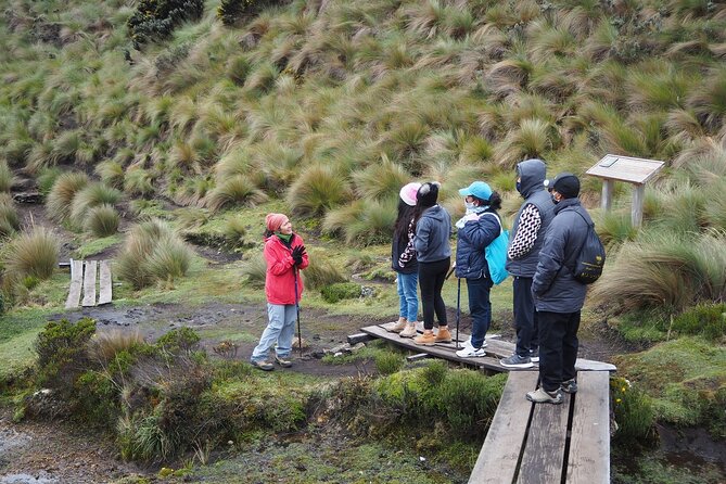 Excursion Day Cajas National Park From Guayaquil - Key Points