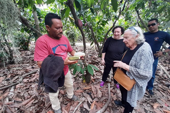 Excursion Day to Cocoa Farm From Guayaquil - Key Points