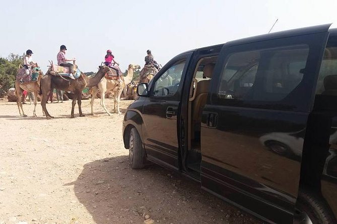 Excursion Essaouira From Marrakech - Included Amenities