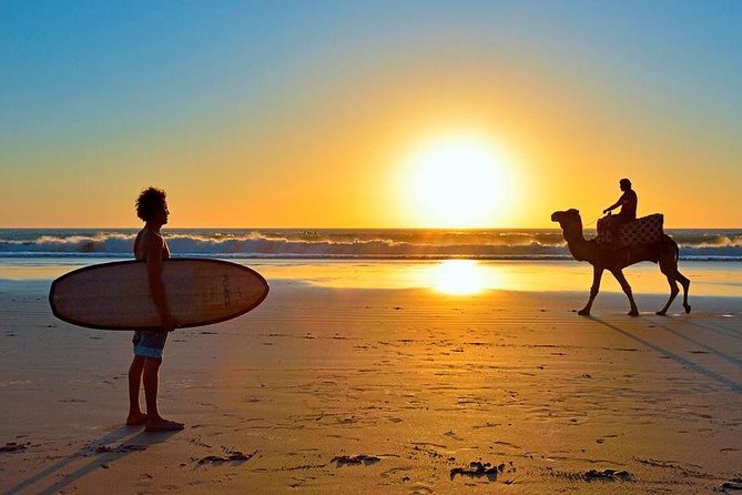 Excursion Essaouira From Marrakech - Tour Pricing