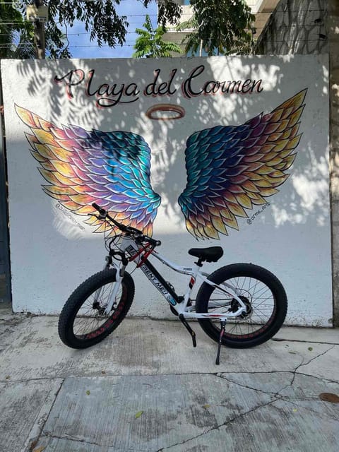Excursion Explorer The City by Bike and Unusual Meal - Key Points