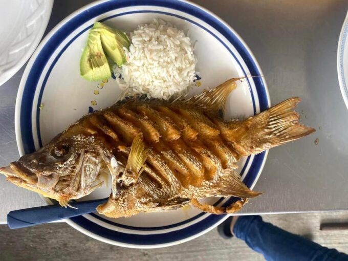 Excursion Explorer The City by Bike and Unusual Meal - Additional Information