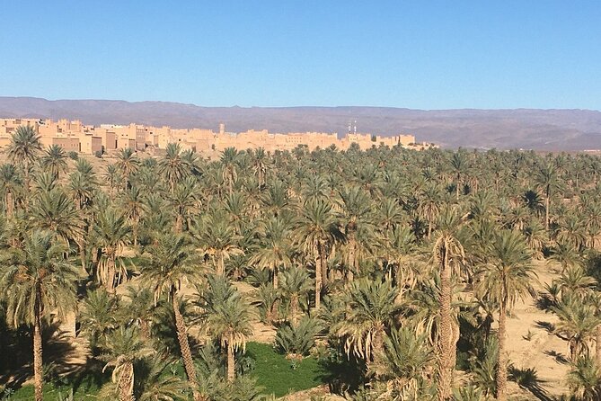Excursion From Ouarzazate to the Draa Valley, Zagora and the Tinfou Dunes - Lunch and Swimming Pool