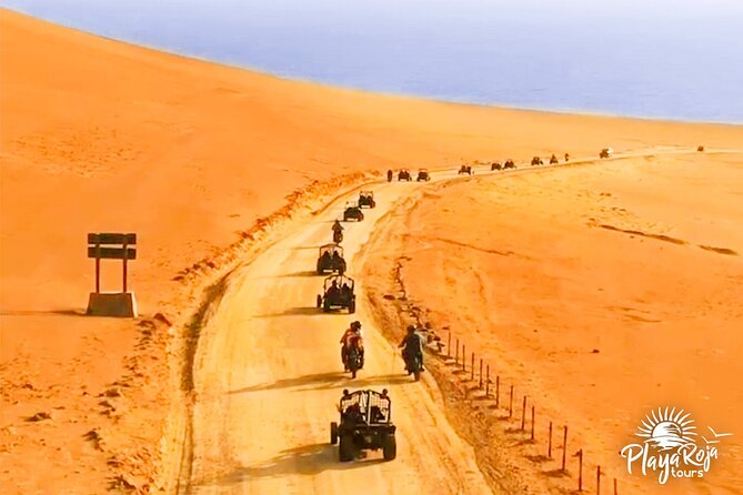 Excursion in Minibuggys in Paracas National Reserve - Inclusions and Additional Details