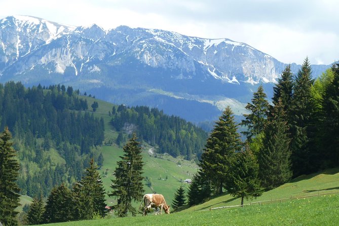 Excursion in Moeciu De Sus (Recommended for Families) With Native Spanish Guide. - Navigating the Circular Route