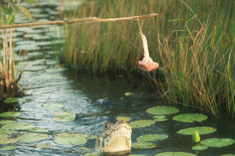 Excursion in the Rainforest 5D /4 Nights - Included and Excluded