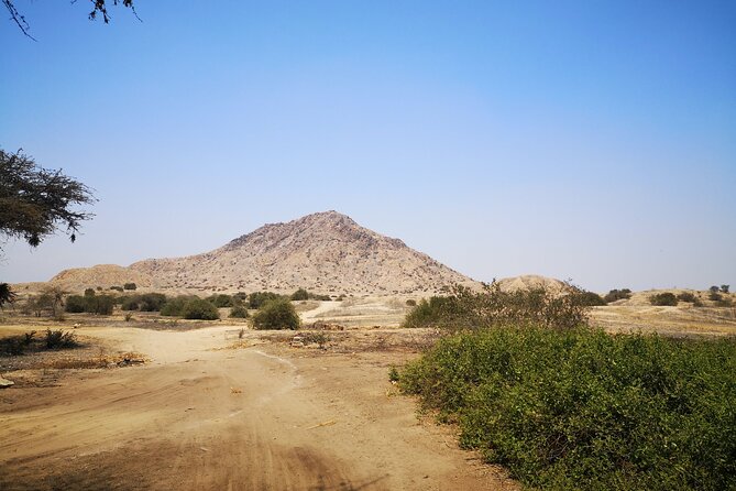 Excursion Sicán, Túcume Pyramids and Historic and Monumental Lambayeque. - Customer Feedback Highlights