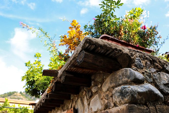 Excursion TASTE of CYPRUS Gourmet Tour From Paphos - What to Expect on the Tour