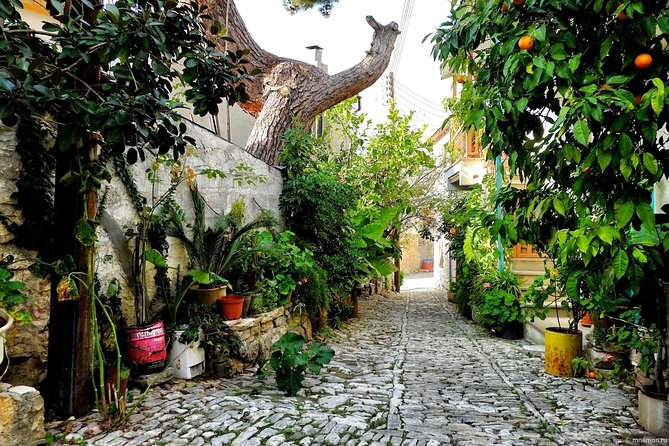 Excursion TASTE of CYPRUS Gourmet Tour From Paphos - Laneia Village Exploration