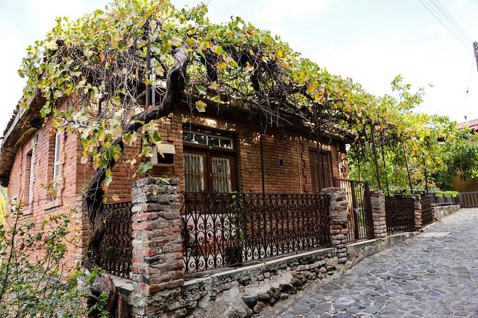 Excursion TASTE of CYPRUS Gourmet Tour From Paphos - Winery and Tastings